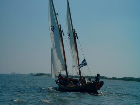 Segeln auf der Elbe